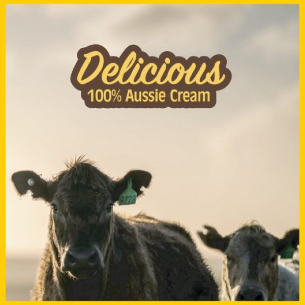 SCREAMIES Chocolate No-Melt Ice-Scream - Image 7